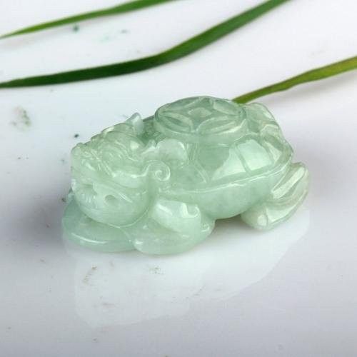 給我推薦幾款龍龜吊墜：12款受歡迎的龍龜吊墜推薦 給我推薦幾款龍龜吊墜：12款受歡迎的龍龜吊墜推薦 龍魚百科 第11張