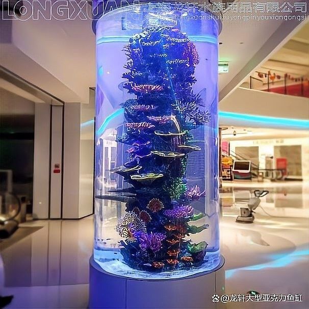 曼龍魚缸多久清洗一次：龍魚缸多久清洗一次