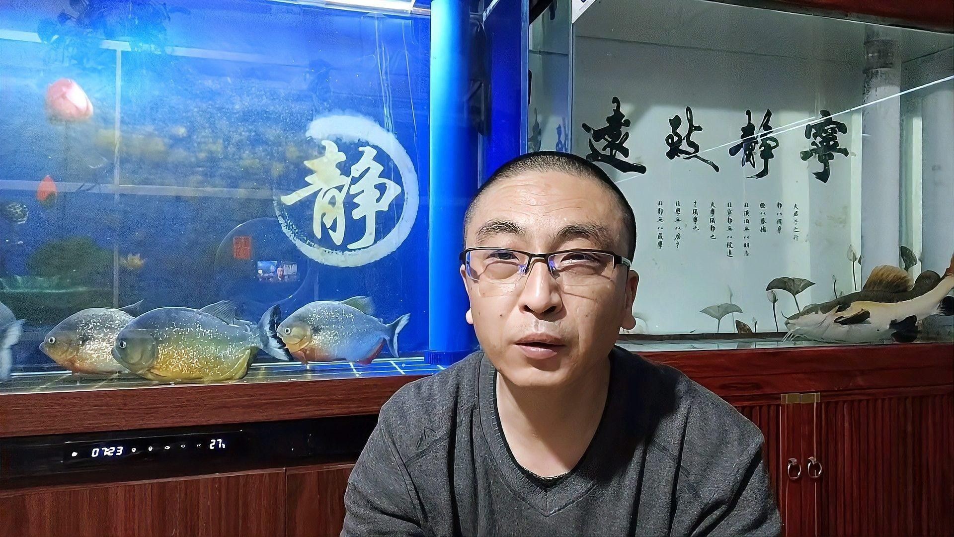 如何設(shè)置一米二魚缸的底濾系統(tǒng)：一米二的魚缸底濾系統(tǒng)設(shè)置是一個(gè)需要細(xì)致規(guī)劃和執(zhí)行的過程 如何設(shè)置一米二魚缸的底濾系統(tǒng)：一米二的魚缸底濾系統(tǒng)設(shè)置是一個(gè)需要細(xì)致規(guī)劃和執(zhí)行的過程 龍魚百科 第5張