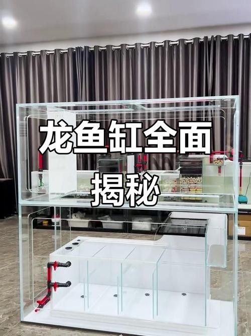 博世龍魚缸的價格范圍是多少？：世龍魚缸價格因型號、尺寸和功能而異，價格范圍可能在50美元之間 博世龍魚缸的價格范圍是多少？：世龍魚缸價格因型號、尺寸和功能而異，價格范圍可能在50美元之間 龍魚百科 第3張