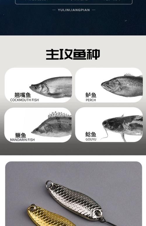 如何判斷龍魚專用餌料的質量：如何判斷龍魚專用餌料質量