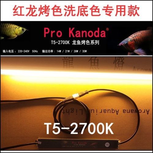 如何判斷龍魚燈的質量：怎樣判斷龍魚燈的質量