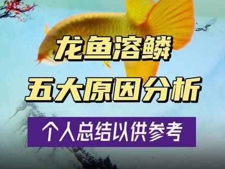 龍魚鱗片疾病有哪些：關于龍魚鱗片疾病的一些分析