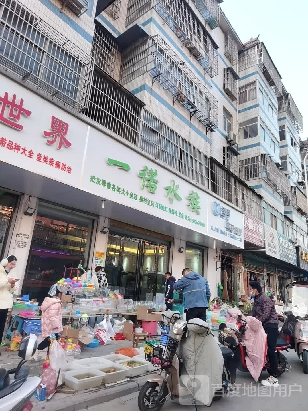 界首哪個水族館龍魚好？祥龍魚場龍魚：界首哪個水族館龍魚好