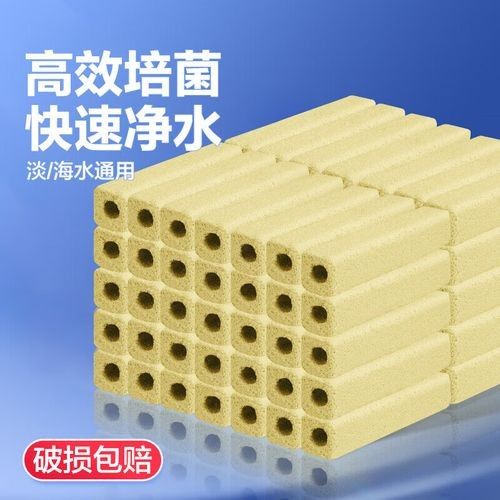 推薦幾款適合龍魚的底濾魚缸：養龍魚從選缸開始