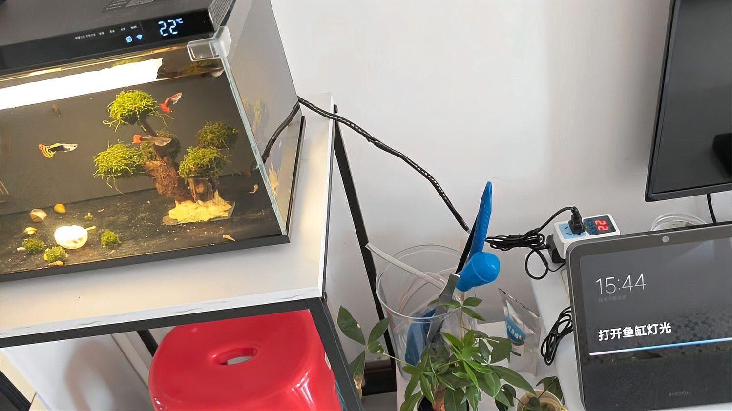 匯龍魚缸溫控器有哪些型號？：匯龍魚缸溫控器型號一覽