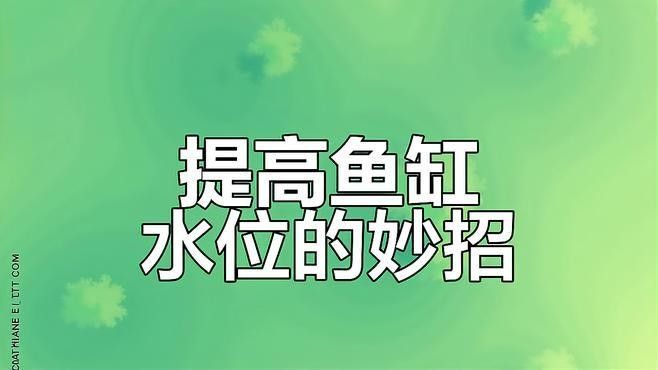 龍魚缸水位過低會怎樣：魚缸水位過低會導致多種問題