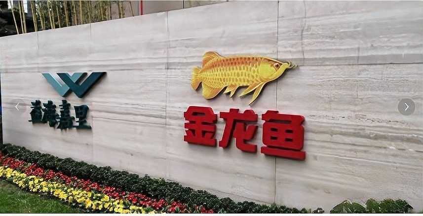 金龍魚是否已支付賠償？：金龍魚是否已經履行了其賠償責任