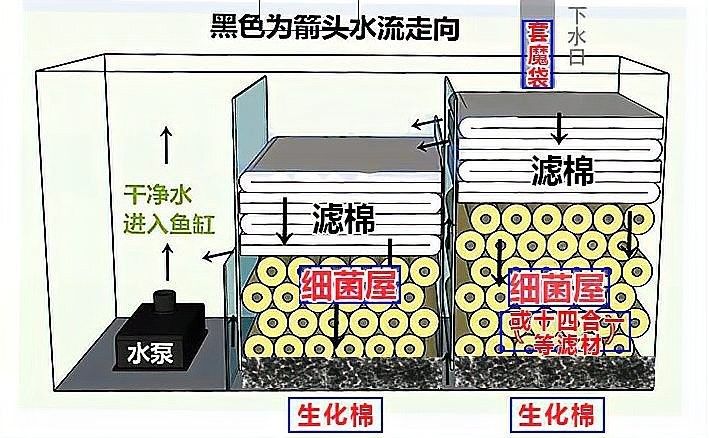 底濾倉(cāng)的細(xì)菌屋如何擺放？：如何正確地?cái)[放細(xì)菌屋