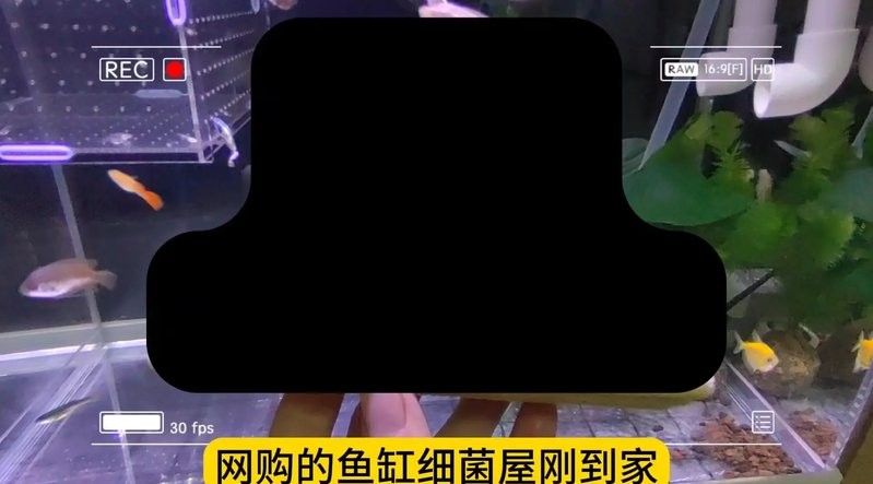 底濾倉的細菌屋如何擺放？：如何正確地擺放細菌屋