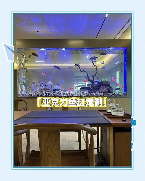 哪種魚缸遮蔽材料最經濟實惠？：阿里巴巴1688水族箱隔離品牌排行榜