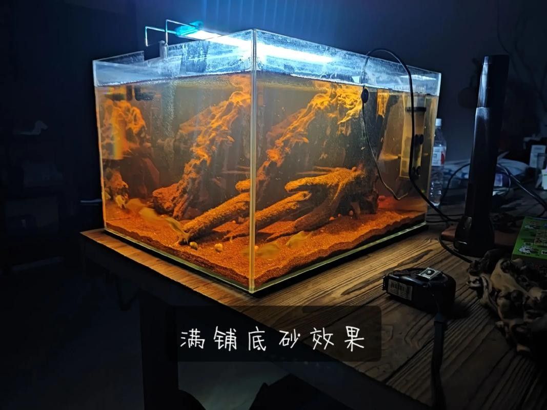 哪種魚缸遮蔽材料最經濟實惠？：阿里巴巴1688水族箱隔離品牌排行榜