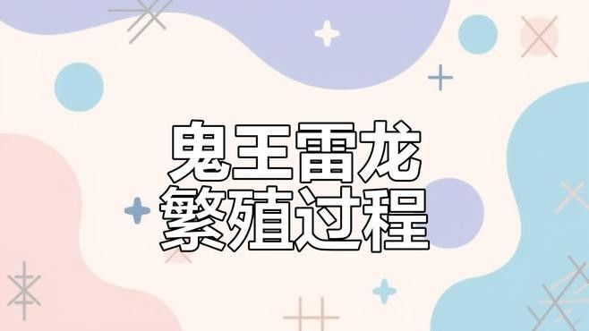 鬼王雷龍繁殖期間需要換水嗎？：佛系玩家也能get的雷龍繁殖小技什么值得買雷龍魚 鬼王雷龍繁殖期間需要換水嗎？：佛系玩家也能get的雷龍繁殖小技什么值得買雷龍魚 龍魚百科 第2張