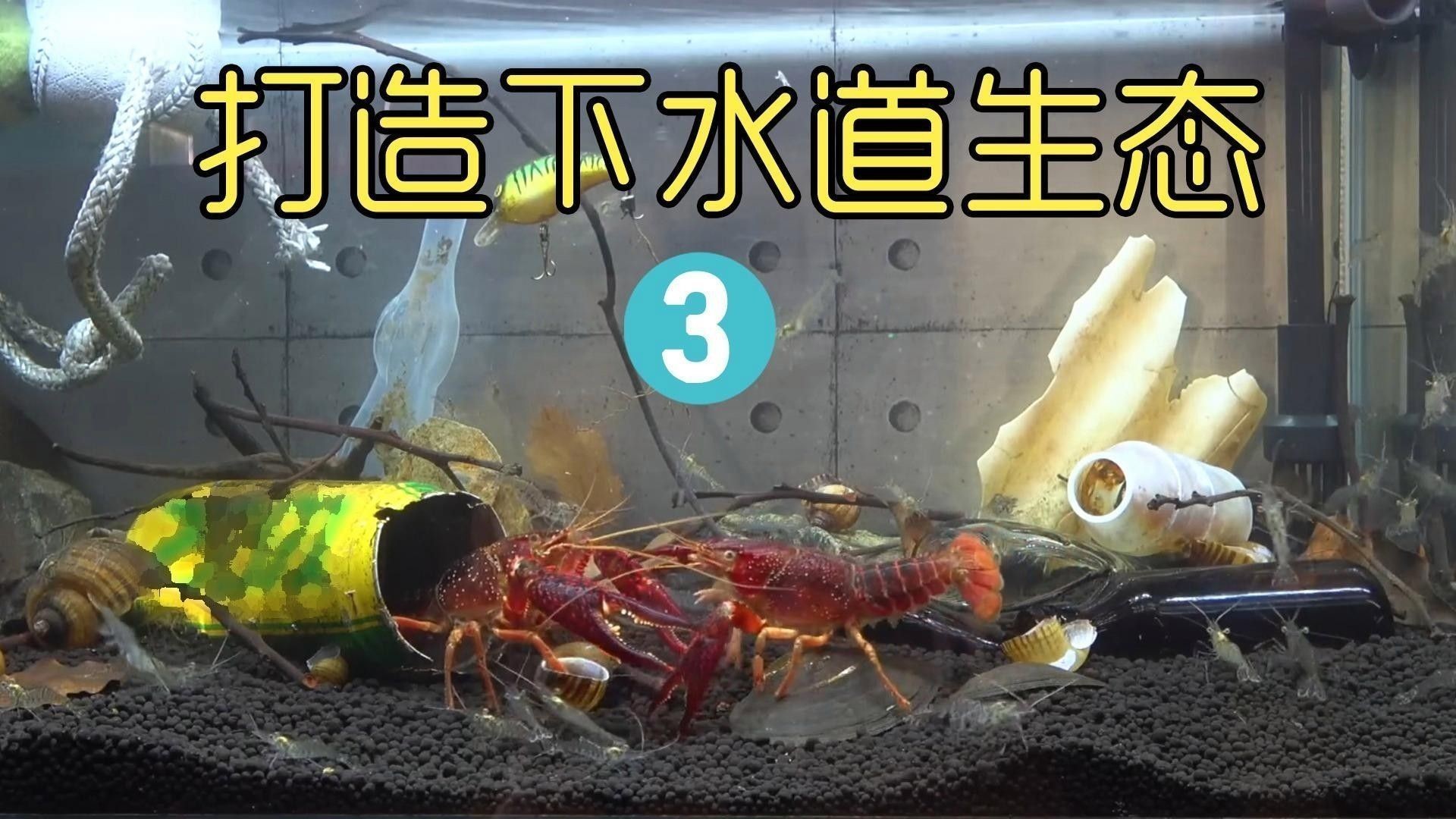 如何模擬自然產(chǎn)卵環(huán)境：模擬自然產(chǎn)卵環(huán)境的關(guān)鍵技術(shù)