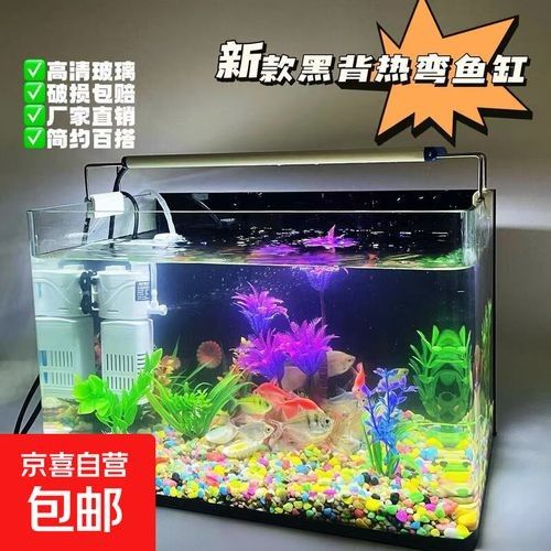 龍魚缸水草造景需要哪些設備：魚缸水草造景基本設備
