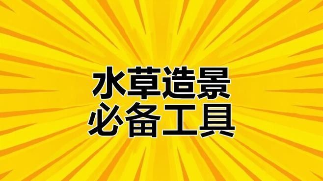 龍魚缸水草造景需要哪些設備：魚缸水草造景基本設備