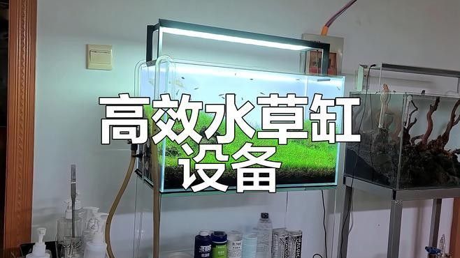 龍魚缸水草造景需要哪些設備：魚缸水草造景基本設備