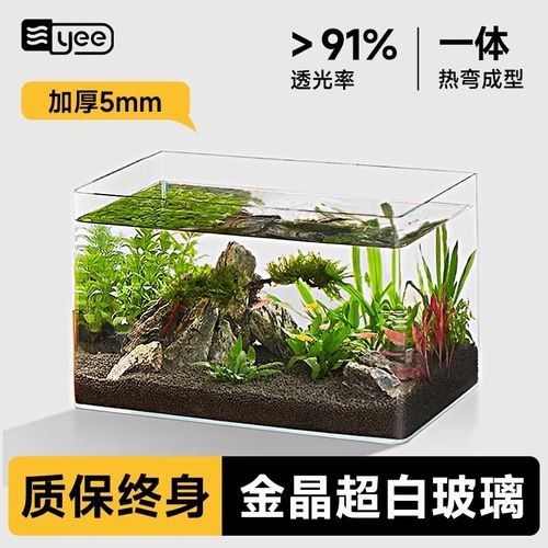 龍魚缸水草造景需要哪些設備：魚缸水草造景基本設備