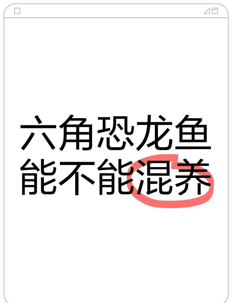 六角恐龍魚混養需要多久適應？：六角恐龍魚怎么養最全養殖方法！