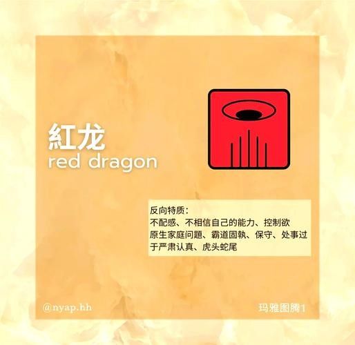 如何辨別紅龍服飾的真偽：怎么辨別紅龍服飾的真偽