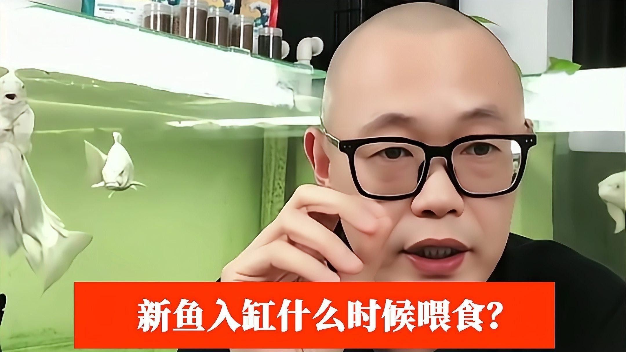 發(fā)色期換缸后需要多久喂食？：新買的魚到底幾天后可以喂食 發(fā)色期換缸后需要多久喂食？：新買的魚到底幾天后可以喂食 龍魚百科 第3張