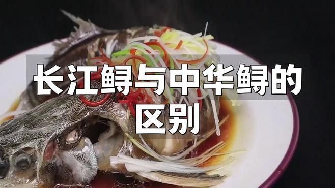 中華鱘和長江鱘有何區別？：中華鱘、長江鱘的“產房”什么樣一文了解→<strong><mark>光明</mark></strong>網