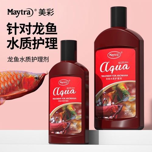 如何預防龍魚眼充血：如何有效預防龍魚眼充血？