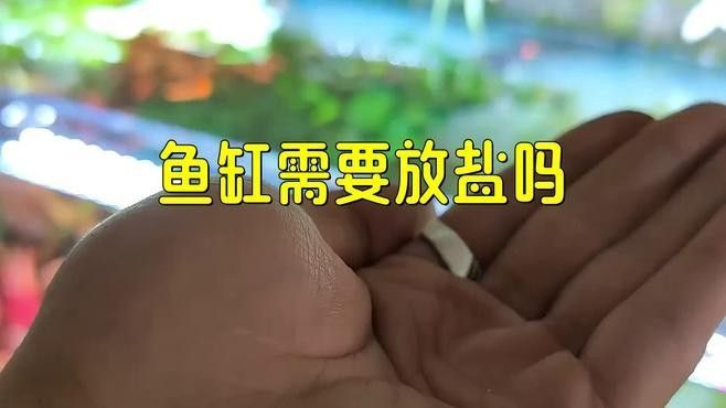 如何判斷是否需要加鹽：怎樣判斷是否需要加鹽