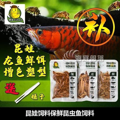 龍魚增色飼料哪個品牌好：哪個品牌的龍魚增色飼料最好