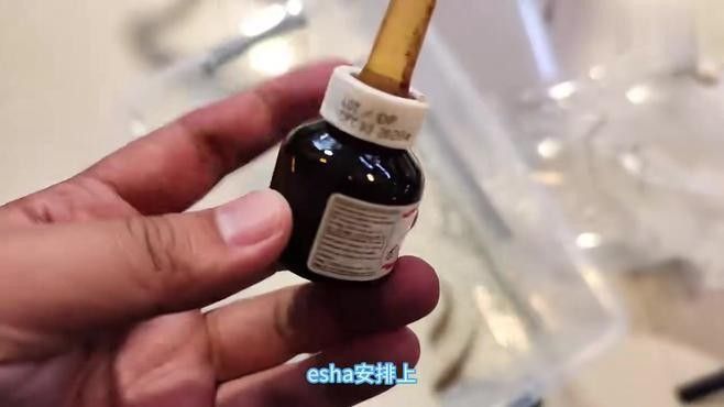 有哪些大型雷龍魚品種？：大型雷龍魚哪種值得養(yǎng)憨八龜萌寵大型雷龍魚哪種值得養(yǎng)