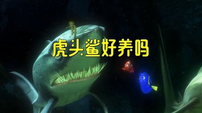 混養虎鯊需要多大的魚缸？：養虎鯊需要多大的魚缸？ 混養虎鯊需要多大的魚缸？：養虎鯊需要多大的魚缸？ 龍魚百科 第2張