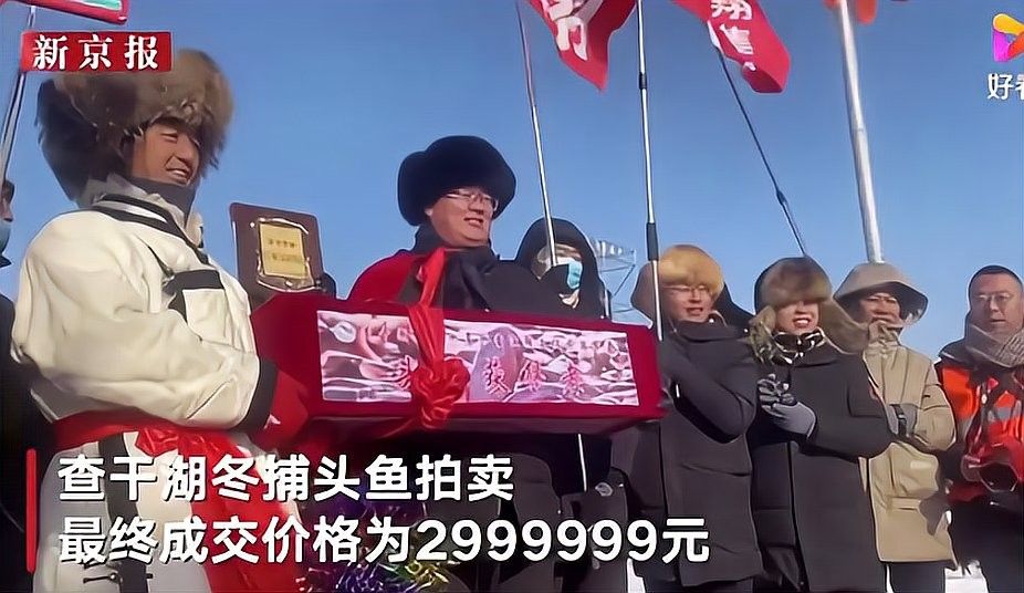 寶龍魚的市場價格是多少？：威海寶龍廣場周邊魚類產品價格表寶龍魚價格波動大嗎 寶龍魚的市場價格是多少？：威海寶龍廣場周邊魚類產品價格表寶龍魚價格波動大嗎 龍魚百科 第3張