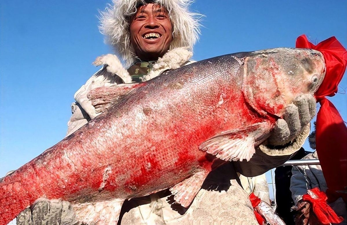 寶龍魚的市場價格是多少？：威海寶龍廣場周邊魚類產品價格表寶龍魚價格波動大嗎 寶龍魚的市場價格是多少？：威海寶龍廣場周邊魚類產品價格表寶龍魚價格波動大嗎 龍魚百科 第4張