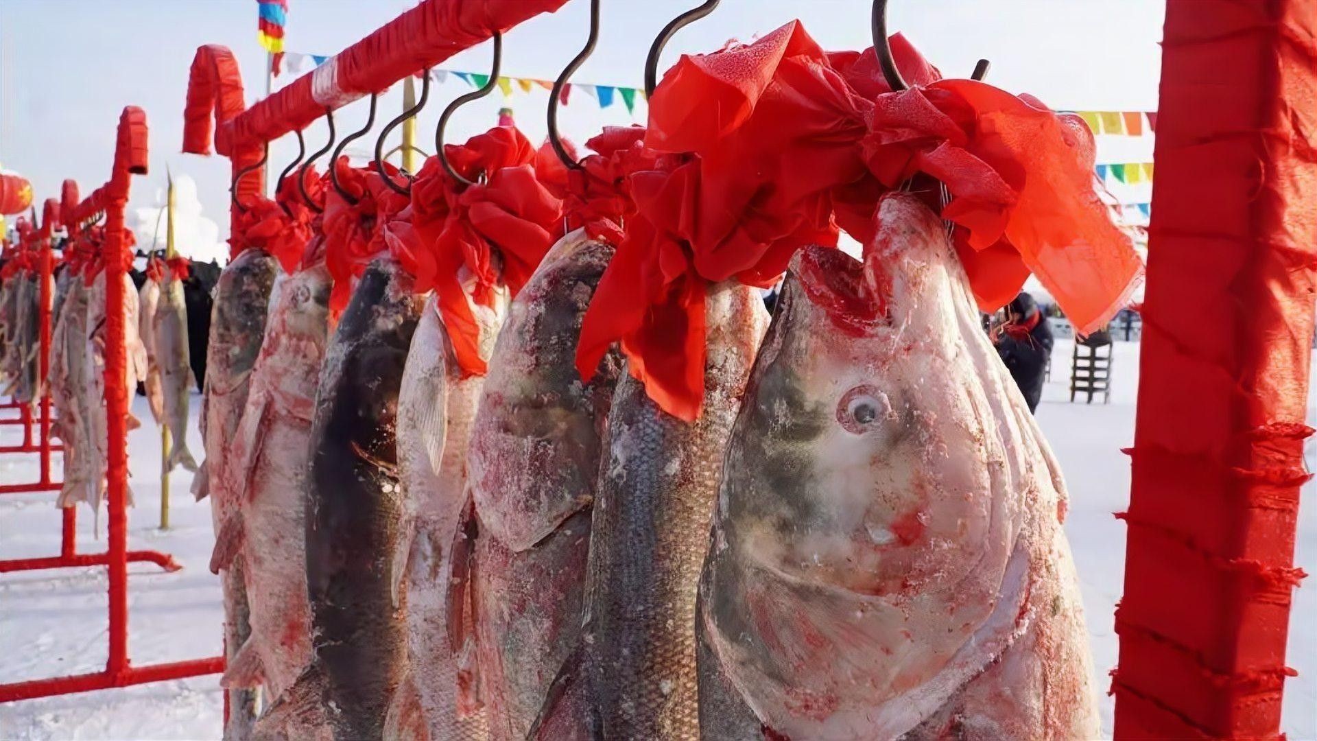 寶龍魚的市場價格是多少？：威海寶龍廣場周邊魚類產品價格表寶龍魚價格波動大嗎 寶龍魚的市場價格是多少？：威海寶龍廣場周邊魚類產品價格表寶龍魚價格波動大嗎 龍魚百科 第1張