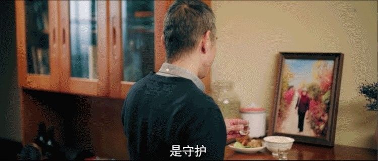 金龍魚廣告中哪條最受歡迎：金龍魚廣告中哪條最受歡迎？ 金龍魚廣告中哪條最受歡迎：金龍魚廣告中哪條最受歡迎？ 龍魚百科 第9張