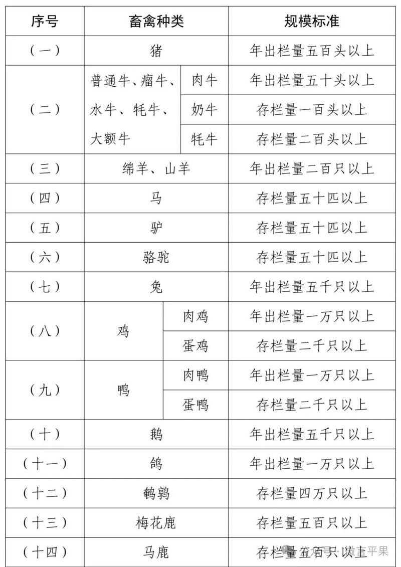 基地的養殖規模有多大：北京最大生豬養殖基地在房山開工光明網竇店肉牛養殖基地 基地的養殖規模有多大：北京最大生豬養殖基地在房山開工光明網竇店肉牛養殖基地 龍魚百科 第1張