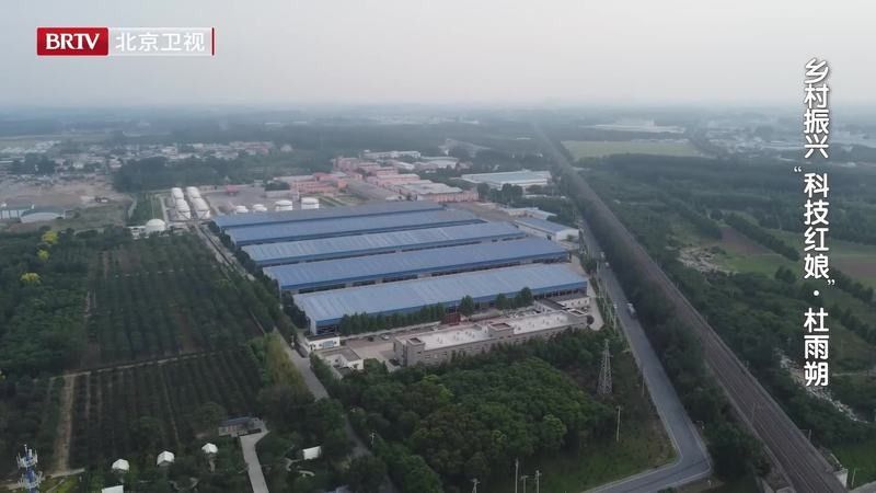 基地的養殖規模有多大：北京最大生豬養殖基地在房山開工光明網竇店肉牛養殖基地 基地的養殖規模有多大：北京最大生豬養殖基地在房山開工光明網竇店肉牛養殖基地 龍魚百科 第4張