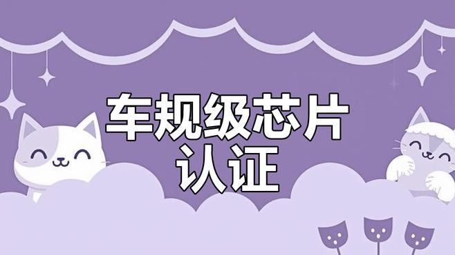 金龍魚芯片證書費用是多少？：金龍魚芯片證書費用