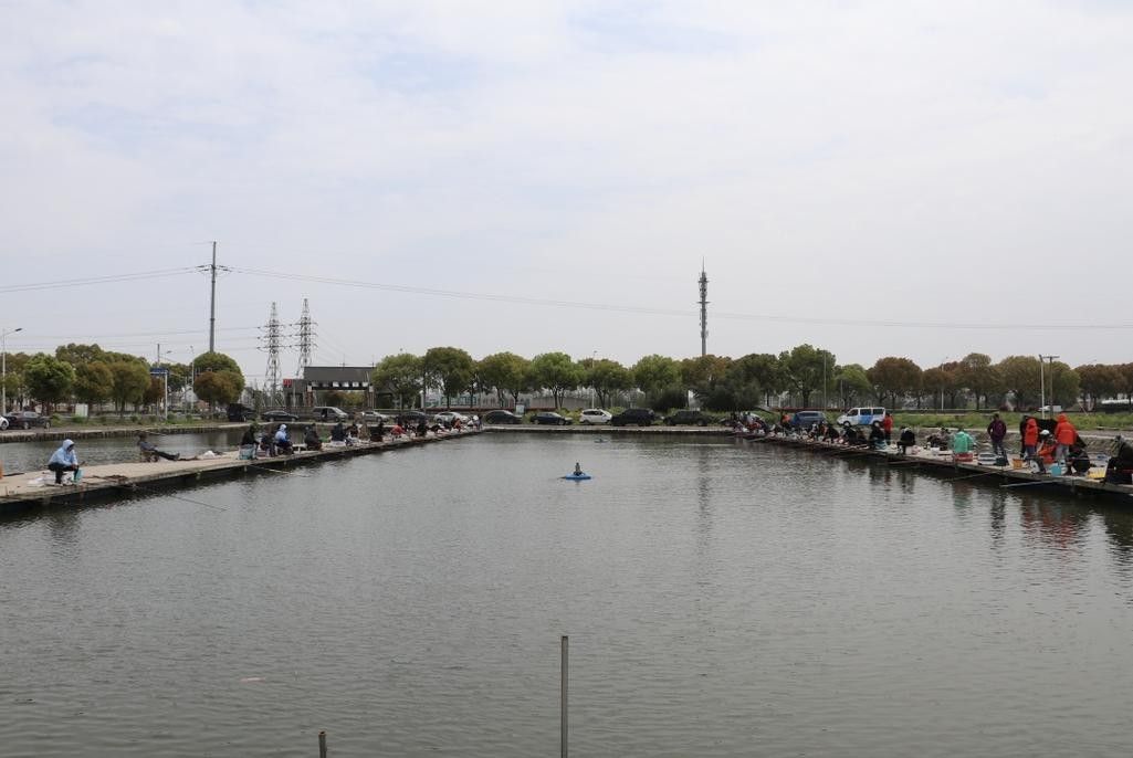 龍魚休閑垂釣中心怎么去：上海崇明哪里是禁漁區哪些地方不能垂釣