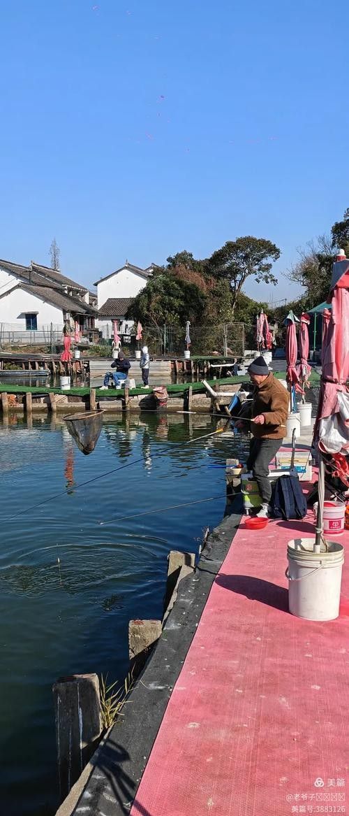 龍魚休閑垂釣中心怎么去：上海崇明哪里是禁漁區哪些地方不能垂釣