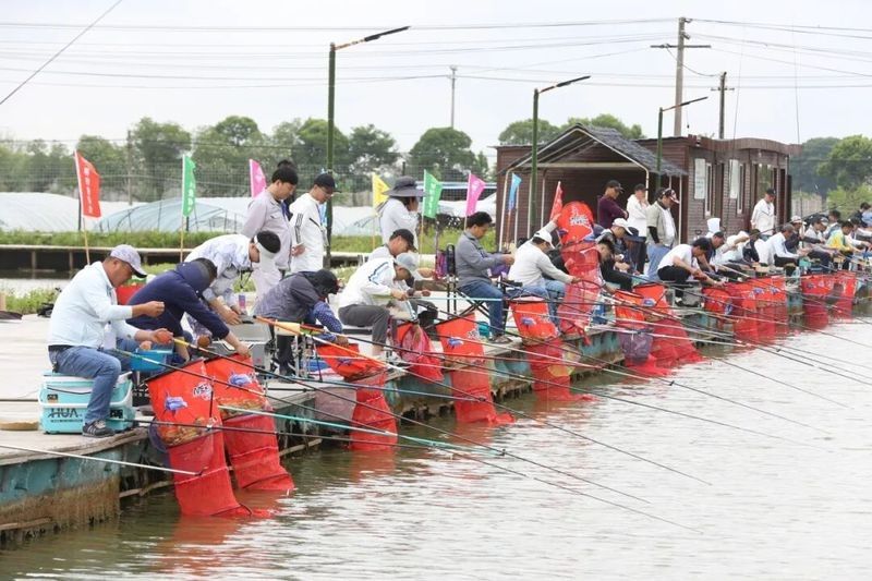龍魚休閑垂釣中心怎么去：上海崇明哪里是禁漁區哪些地方不能垂釣