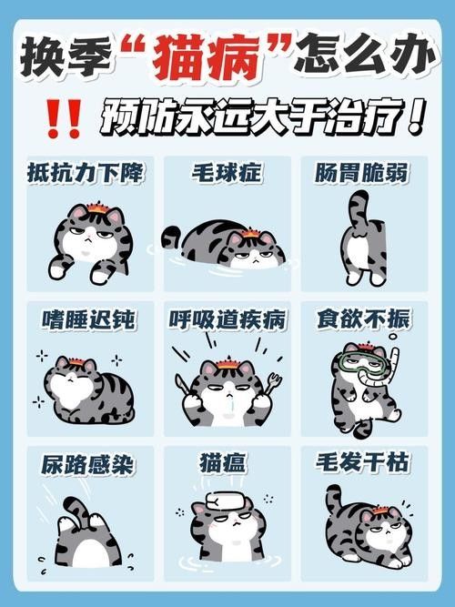 哪種寵物更適合初次養寵者：哪種寵物更適合初次養寵者，初次養寵者選擇適合的寵物