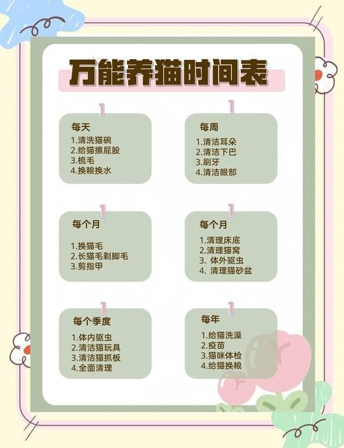 哪種寵物更適合初次養寵者：哪種寵物更適合初次養寵者，初次養寵者選擇適合的寵物