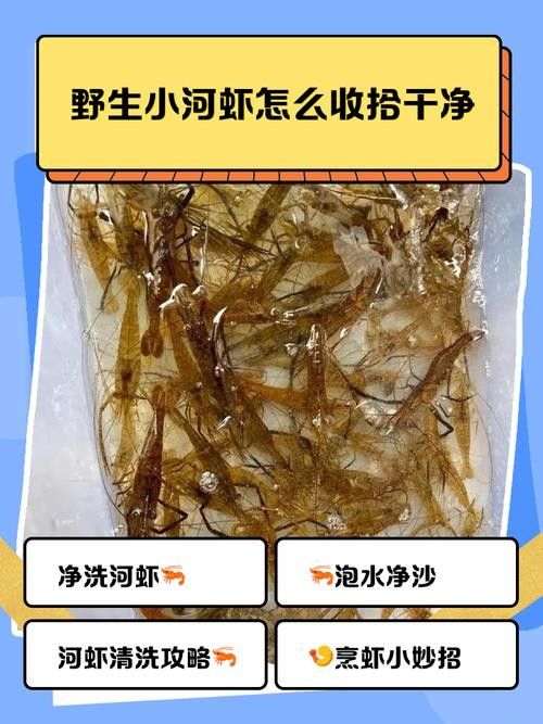 金龍魚吃河蝦需要去殼嗎：金龍魚吃河蝦是否需要去殼？
