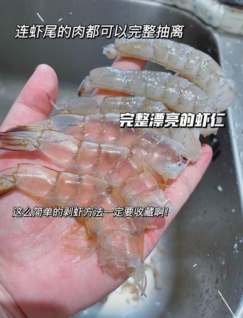 金龍魚吃河蝦需要去殼嗎：金龍魚吃河蝦是否需要去殼？