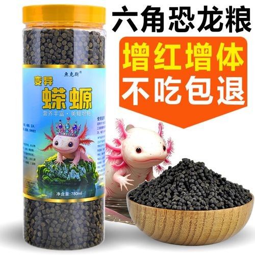 哪種恐龍魚飼料性價比最高：六角恐龍魚飼料性價比分析及推薦