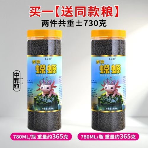 哪種恐龍魚飼料性價比最高：六角恐龍魚飼料性價比分析及推薦