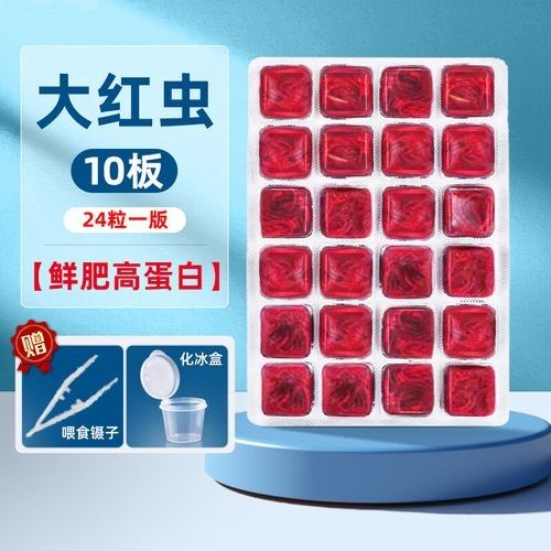 哪種恐龍魚飼料性價比最高：六角恐龍魚飼料性價比分析及推薦