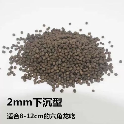 哪種恐龍魚飼料性價比最高：六角恐龍魚飼料性價比分析及推薦