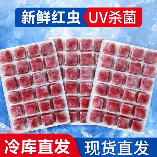 哪種恐龍魚飼料性價比最高：六角恐龍魚飼料性價比分析及推薦